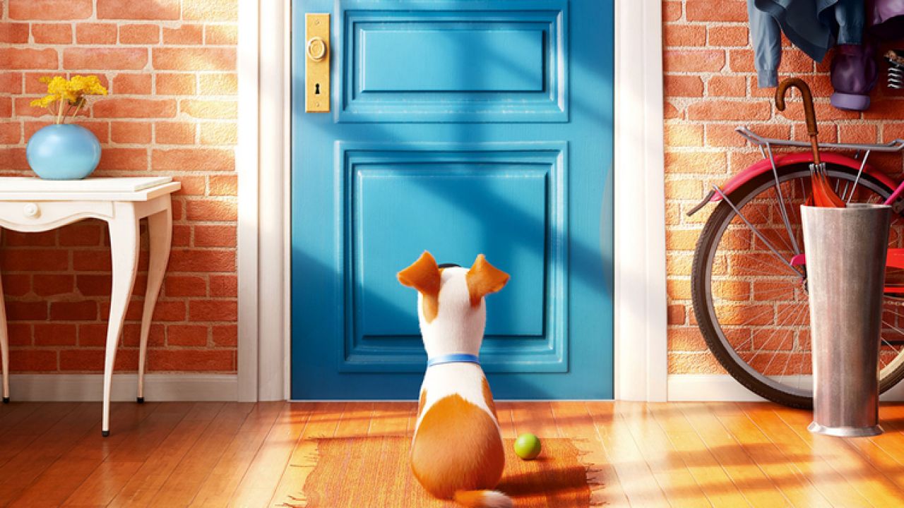 PETS – VITA DA ANIMALI (Chris Renaud, Yarrow Cheney)