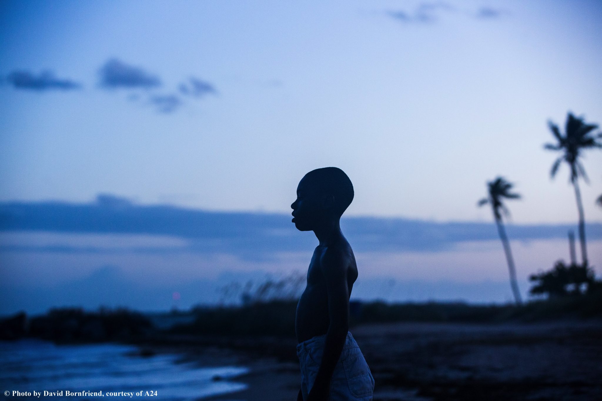 MOONLIGHT (Barry Jenkins) Un vibrante romanzo di formazione tra i "blacks" della Miami criminale