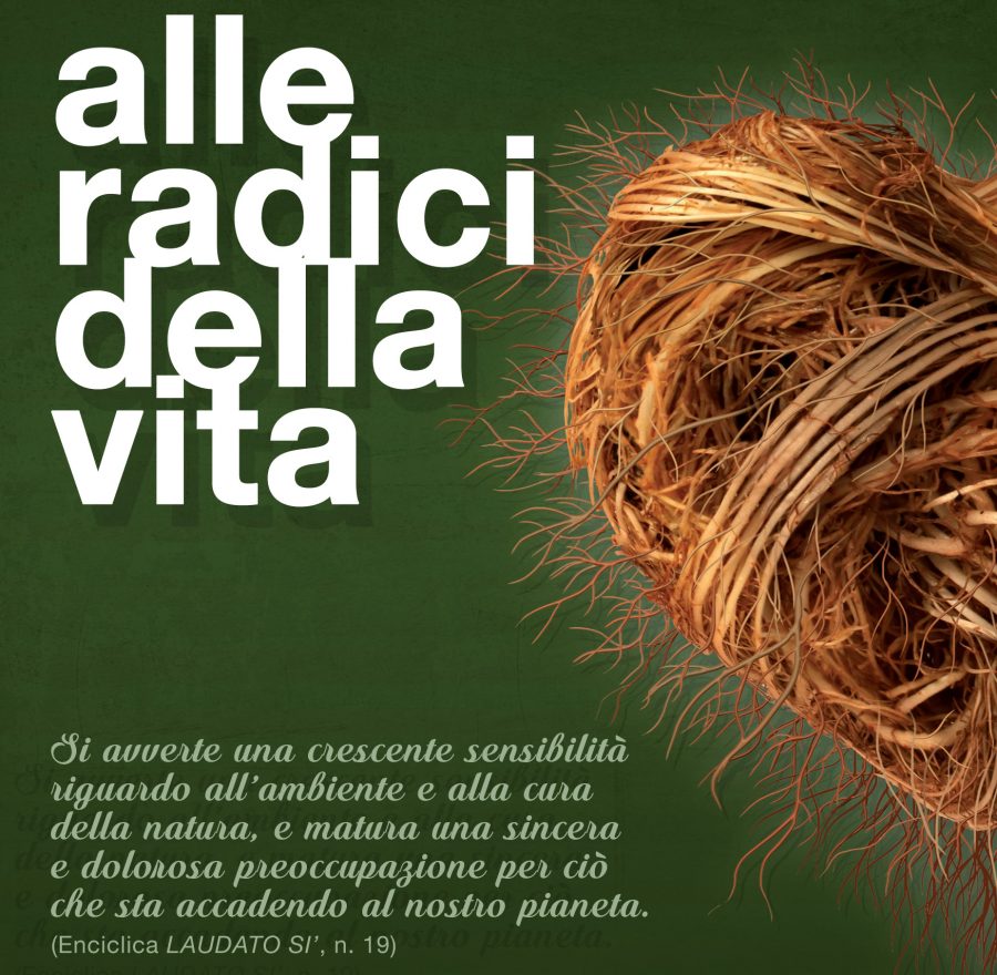 ALLE RADICI DELLA VITA 50 SdC e 10 circoli per l'Enciclica Laudato Sì