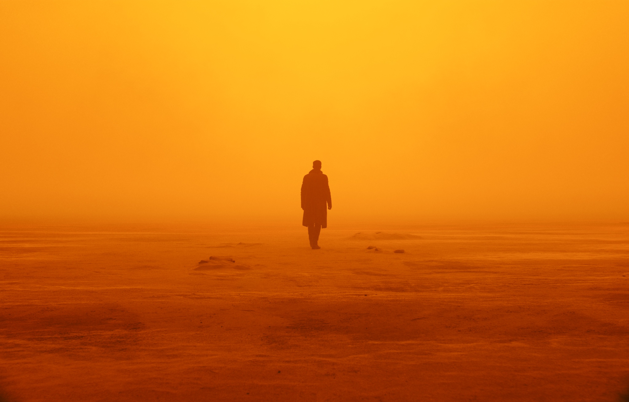 BLADE RUNNER 2049 (Denis Villeneuve) Il seguito del film di Rydley Scott, 35 anni dopo