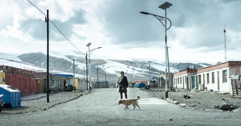 JINPA (Pema Tseden)