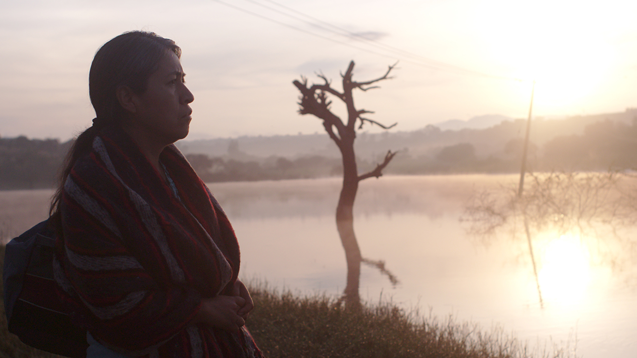 Sin señas particulares (Fernanda Valadez) Viaggio lungo i confini dell'anima