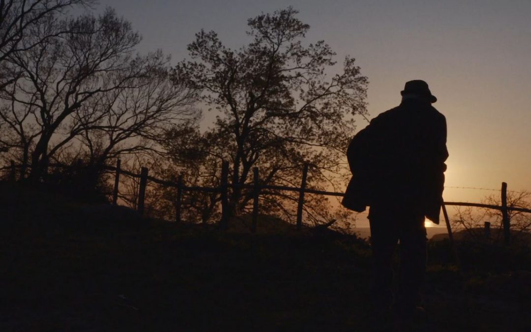 IL TEMPO RIMASTO (Daniele Gaglianone) Una riflessione sulla vecchiaia che si fa elegia alla vita