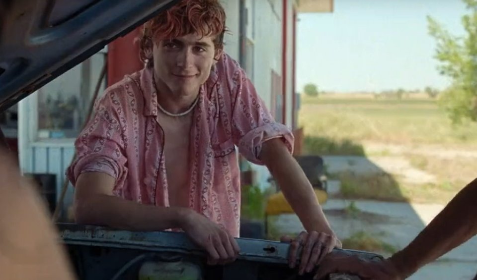 BONES AND ALL (Luca Guadagnino) Amore cannibale