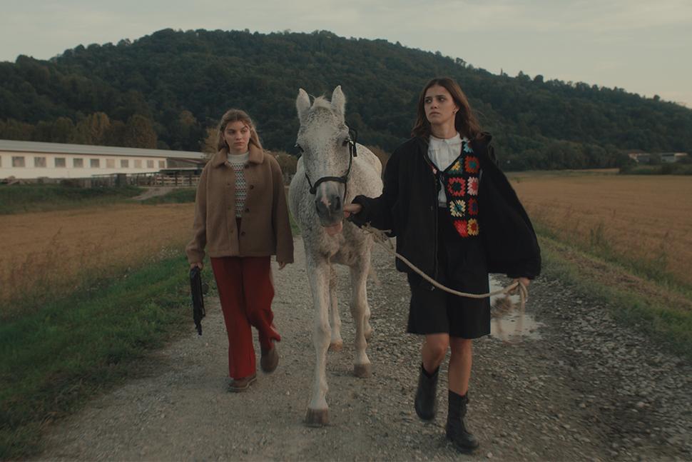 AMANDA (Carolina Cavalli) Ricchezza e solitudine
