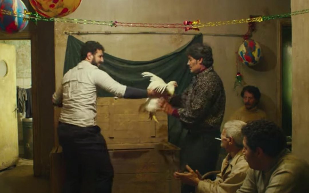 IL CAPOFAMIGLIA (Omar El Zohairy) Realismo magico e denuncia sociale