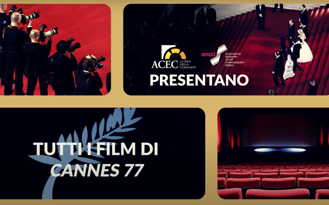 Cosa è successo al Festival di Cannes 77 Vincitori e vinti