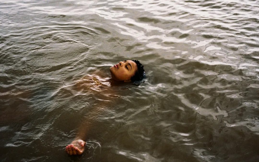 BIRD L'OPERA-CERNIERA DI ANDREA ARNOLD