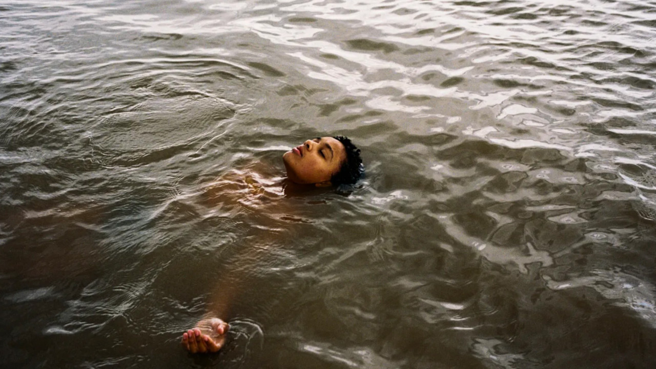 BIRD L'OPERA-CERNIERA DI ANDREA ARNOLD
