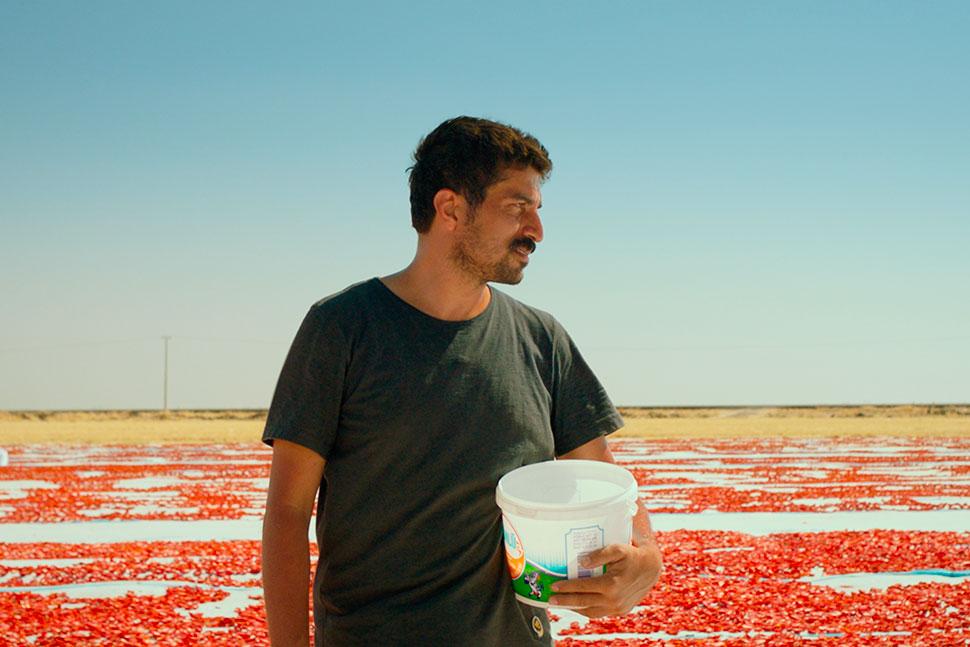 UNO DI QUEI GIORNI QUANDO HEMME MUORE, la recensione del film