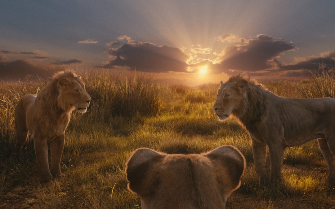 MUFASA – IL RE LEONE (Barry Jenkins) Ritorno alle origini