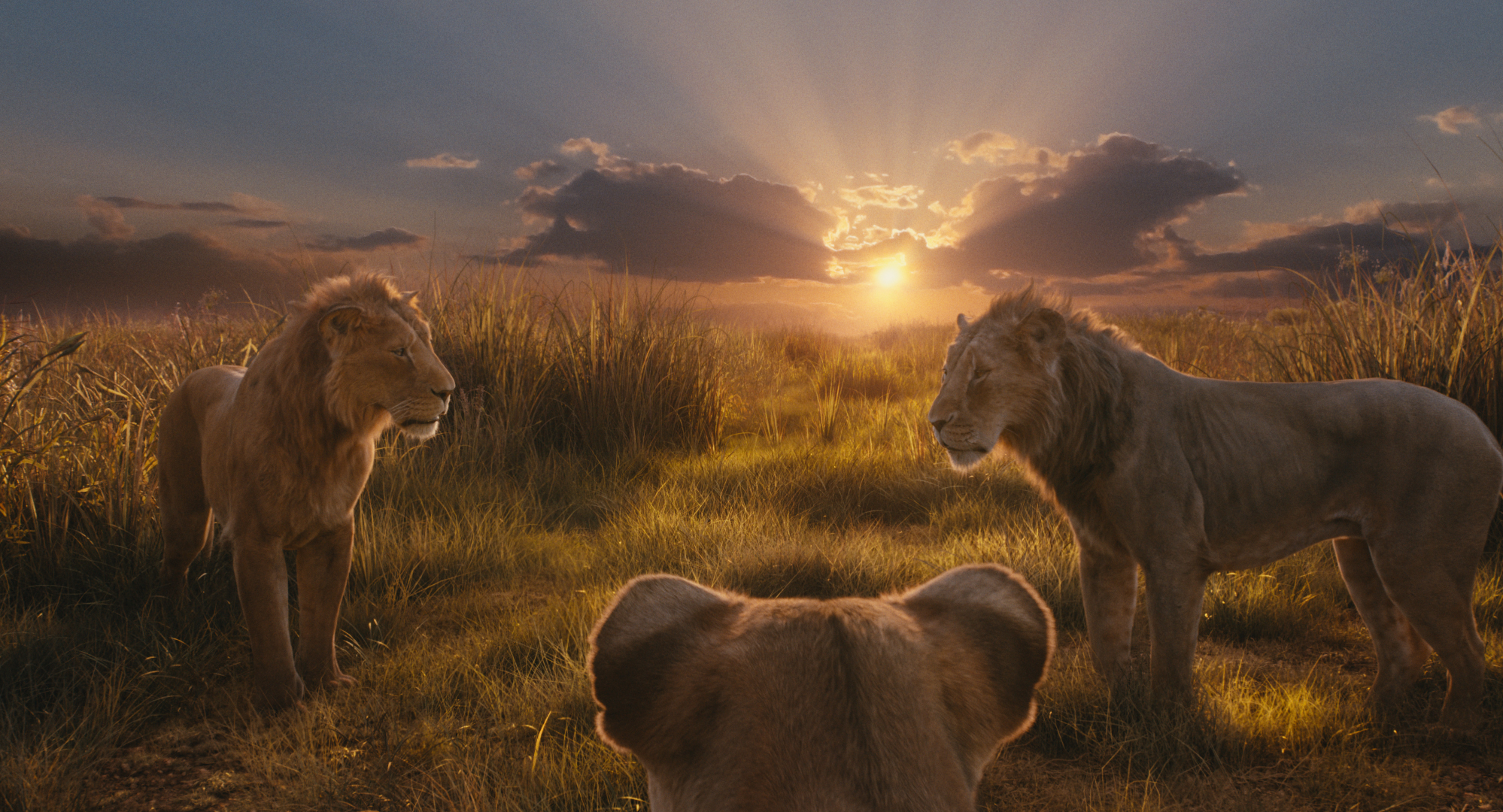 MUFASA – IL RE LEONE (Barry Jenkins) Ritorno alle origini