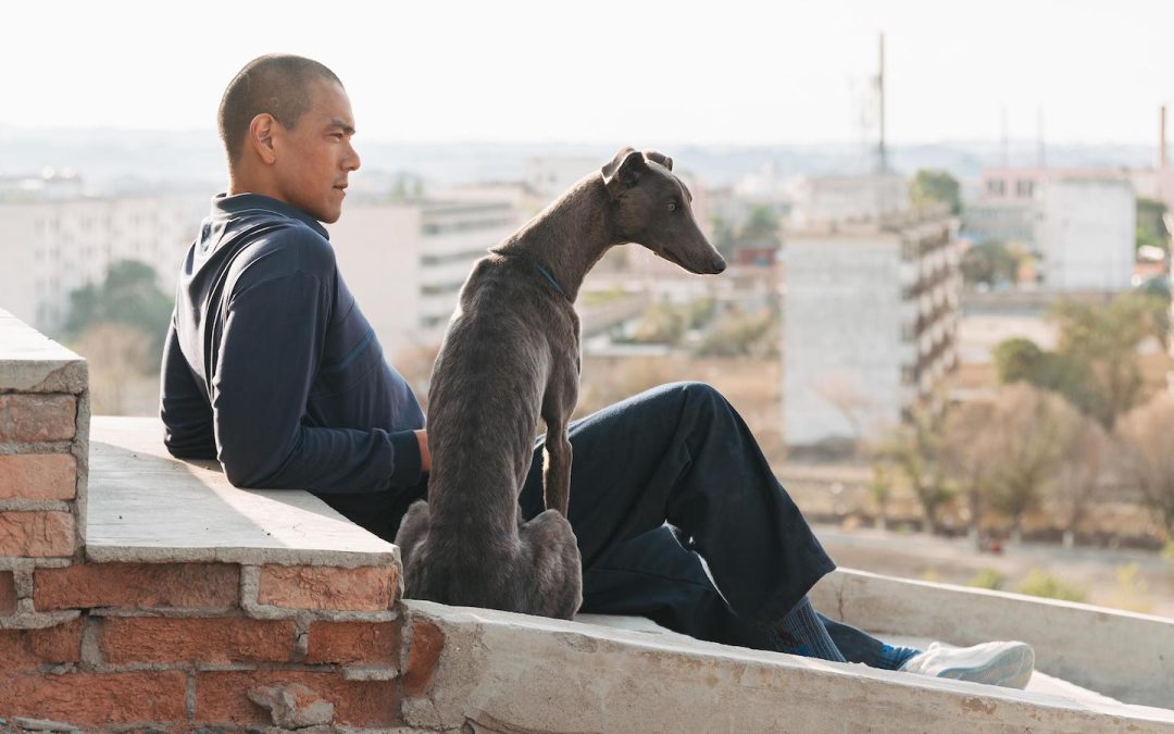 BLACK DOG (Guan Hu) La Cina fra tradizione e modernità