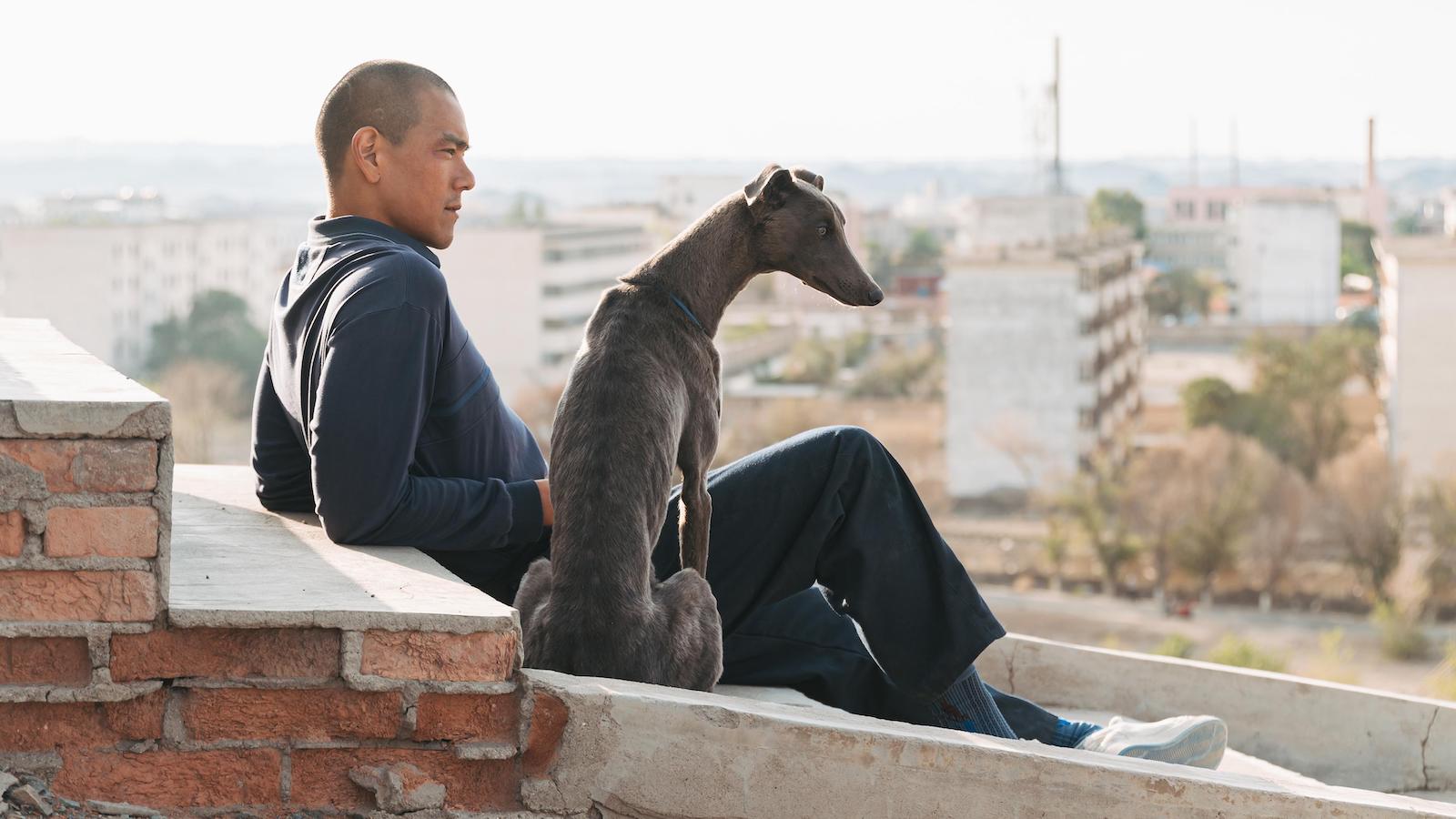 BLACK DOG (Guan Hu) La Cina fra tradizione e modernità