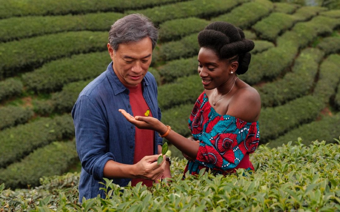 In cerca di perle: BLACK TEA