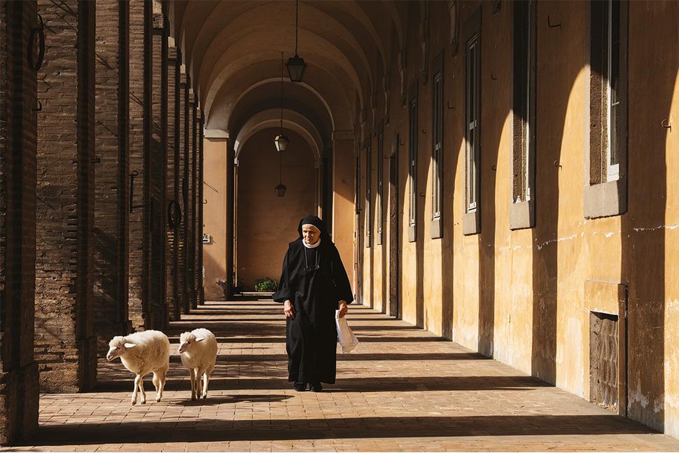 AGNUS DEI, recensione del film di Massimiliano Camaiti La spiritualità del gesto quotidiano - VENEZIA 82