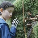 SHEEP IN THE BOX (Kore-eda Hirokazu) La famiglia nel bosco
