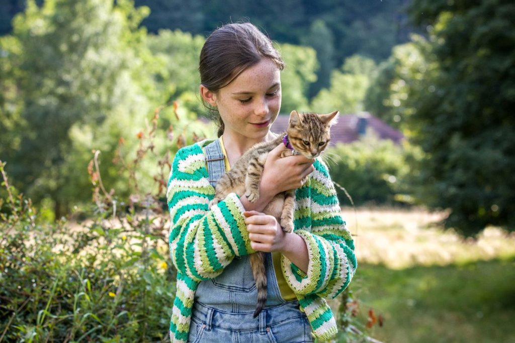 vita da gatto film sulla libertà