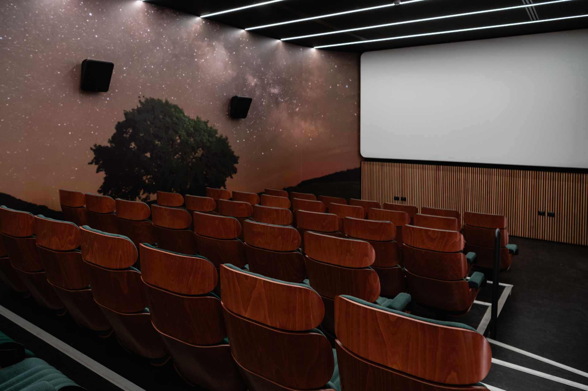 0028_ACEC 2025_Sovico_Margherita Mirabella_DSC_8759 ridotta Seconda sala Nuovo Cinema di Sovico